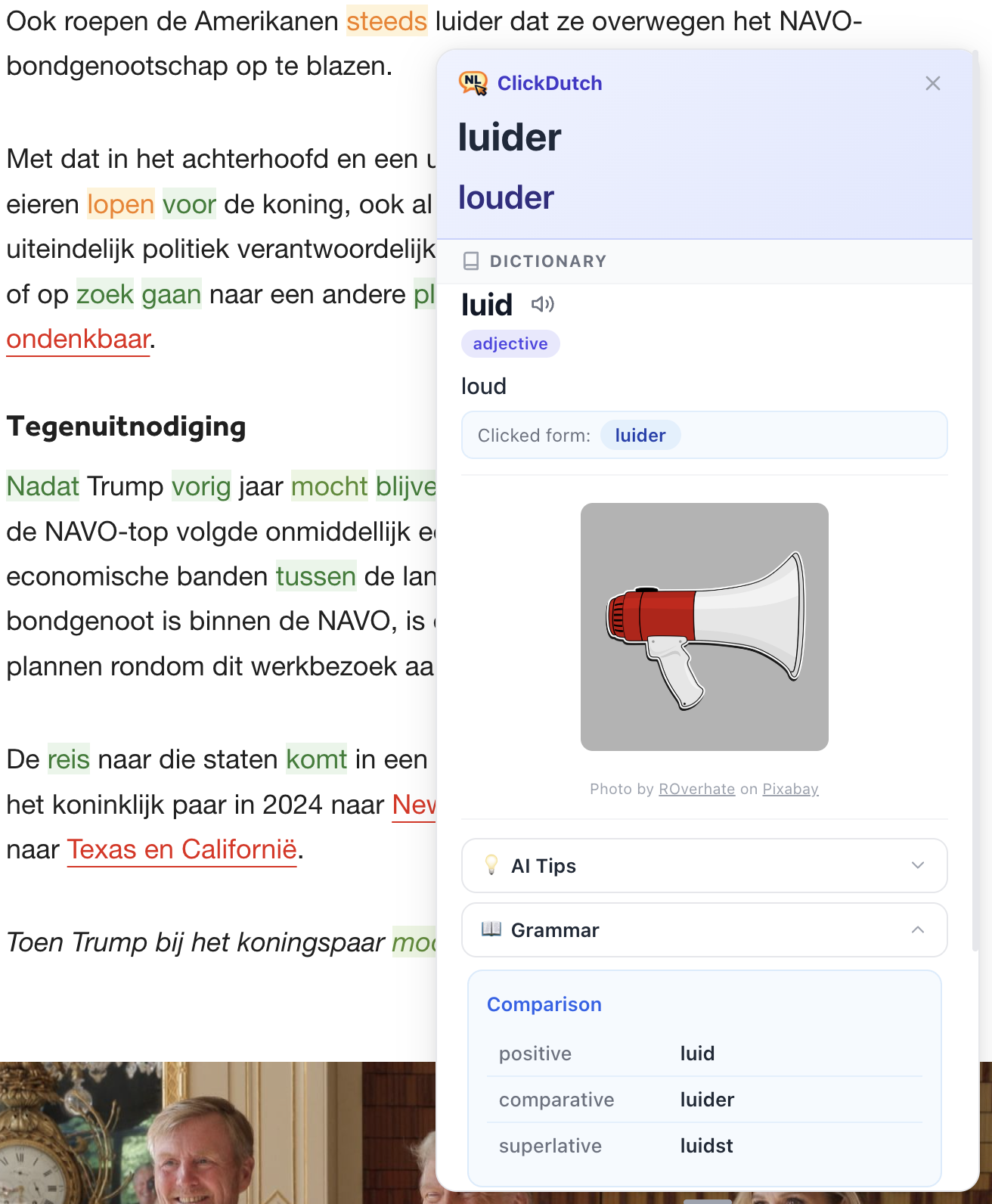 ClickDutch extension showing translation and forms for a Dutch adjective